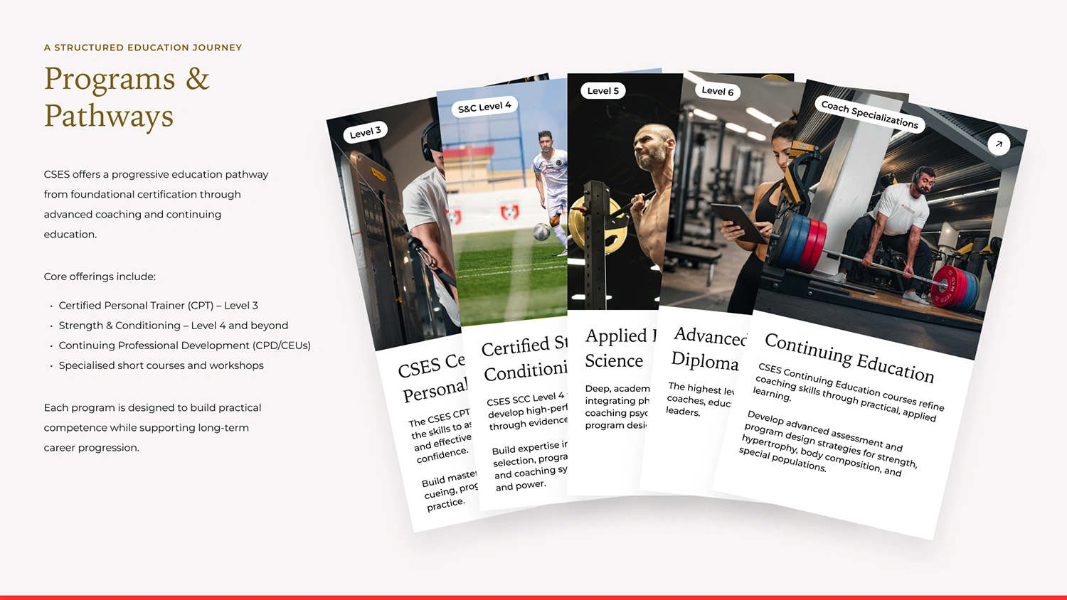 CSES Global — Dubai