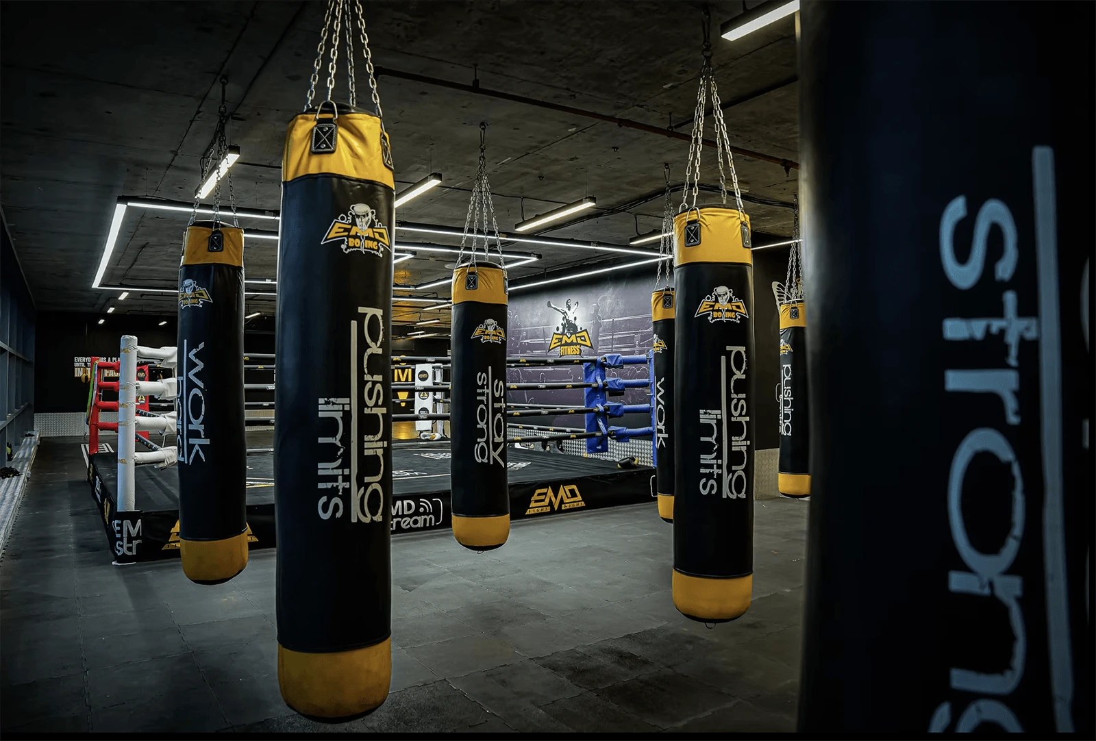 EMD Fitness — Dubai